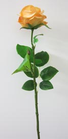 Rose 66cm gelb